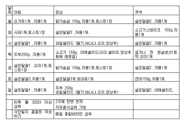 챌린저들이 지켜야 할 식단표 중 일부