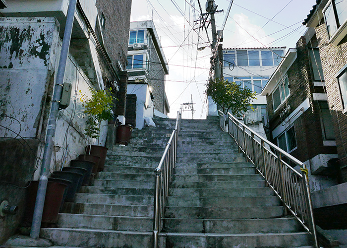기택 동네 계단
