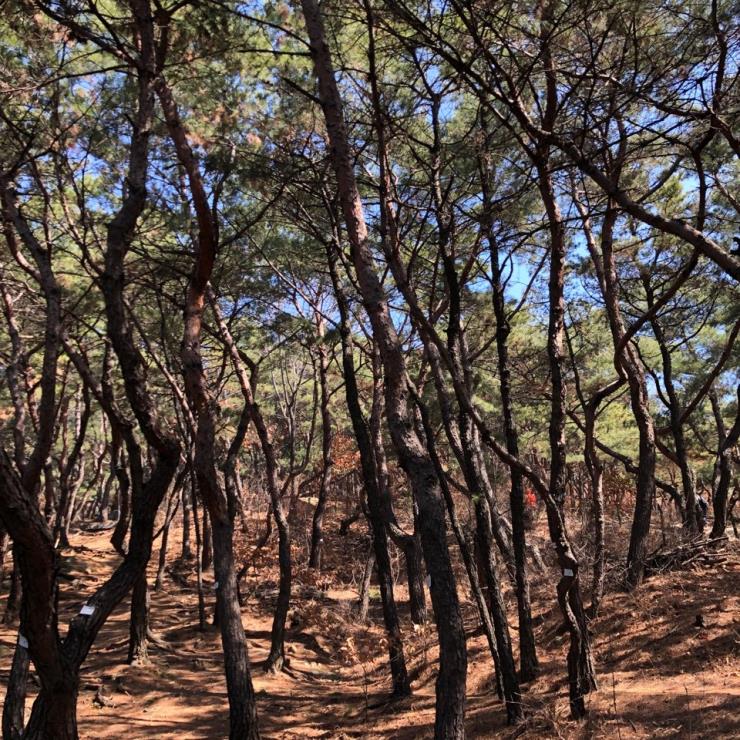 아차산