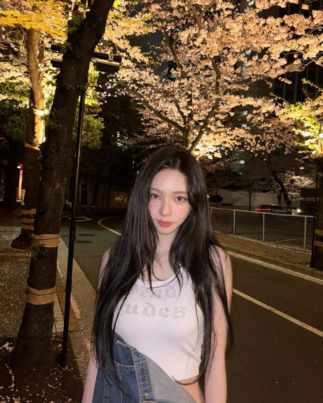 스타들의 벚꽃 인증샷
