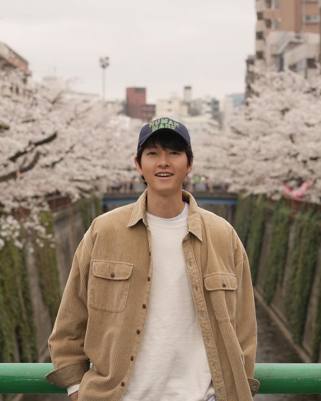 스타들의 벚꽃 인증샷