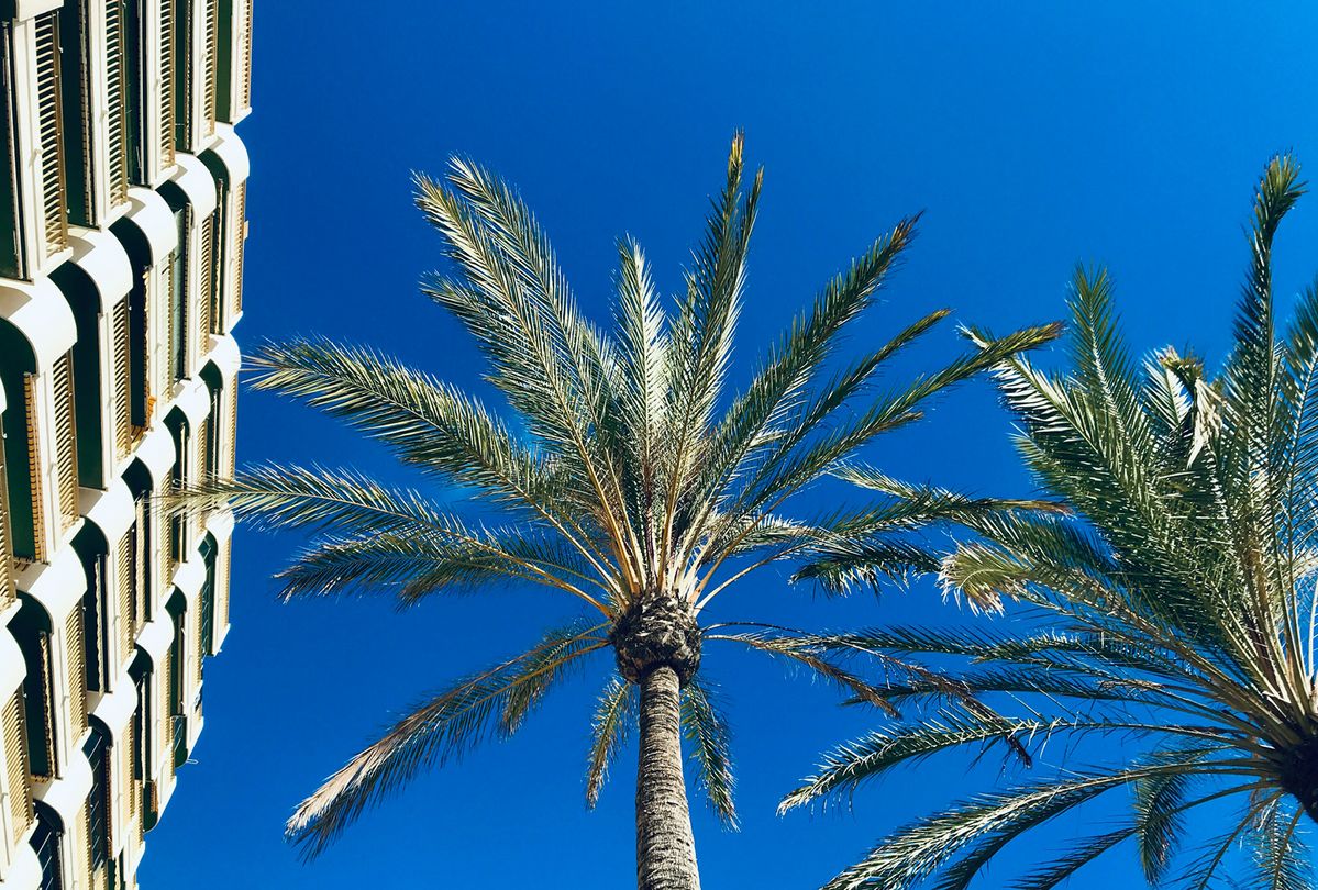 ©unsplash