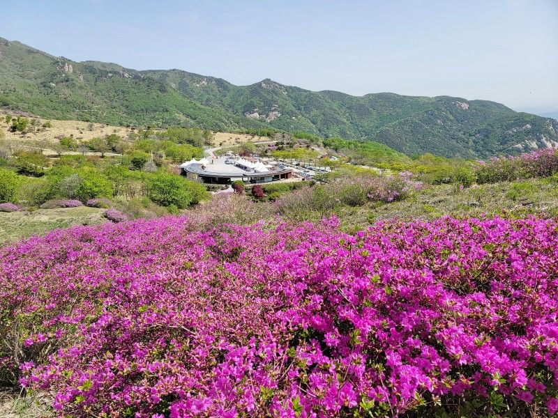 합천 황매산