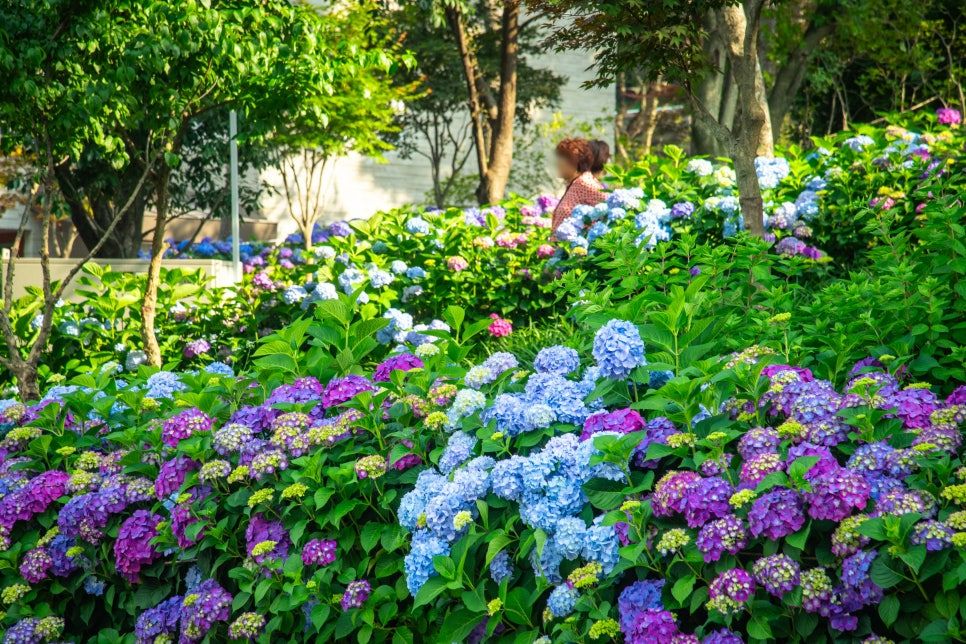 월아산 숲속의 진주