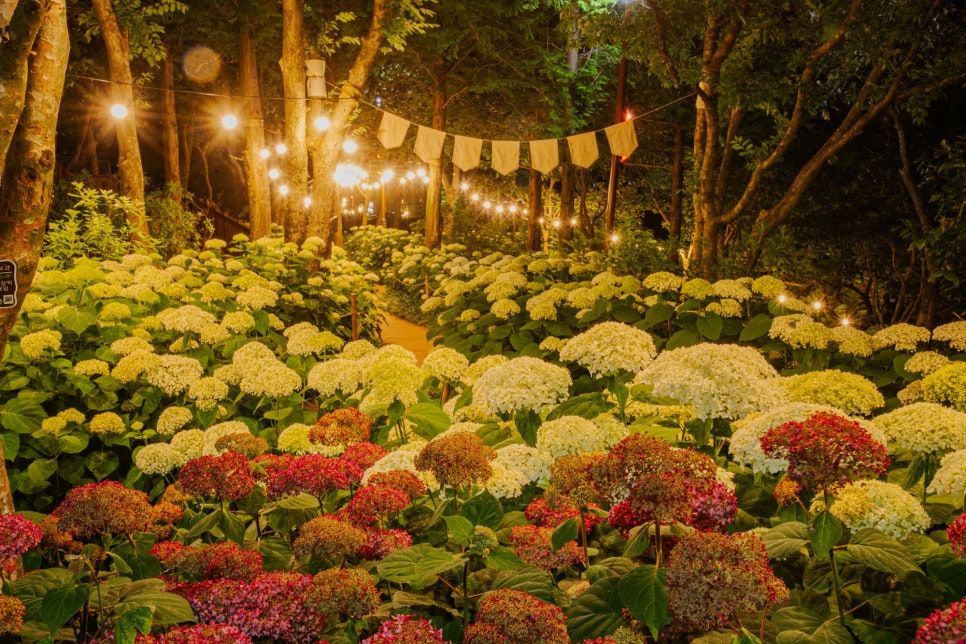 월아산 숲속의 진주
