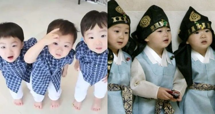 2014~2016 방송 출연 당시 삼둥이 모습