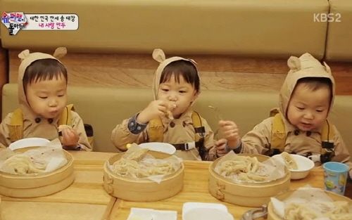 2014~2016년 방송 출연 당시 '삼둥이' 모습