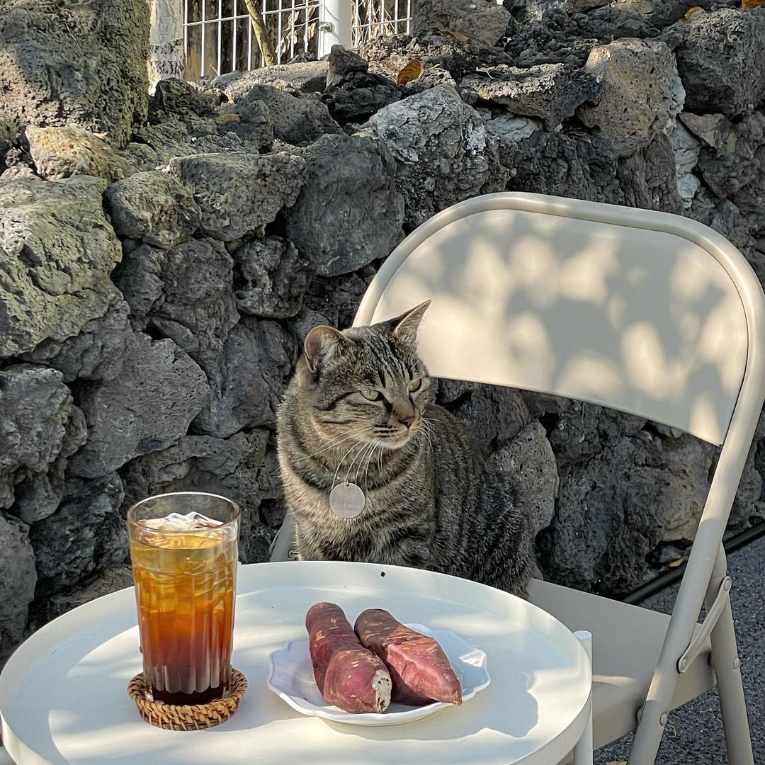 오헬로
