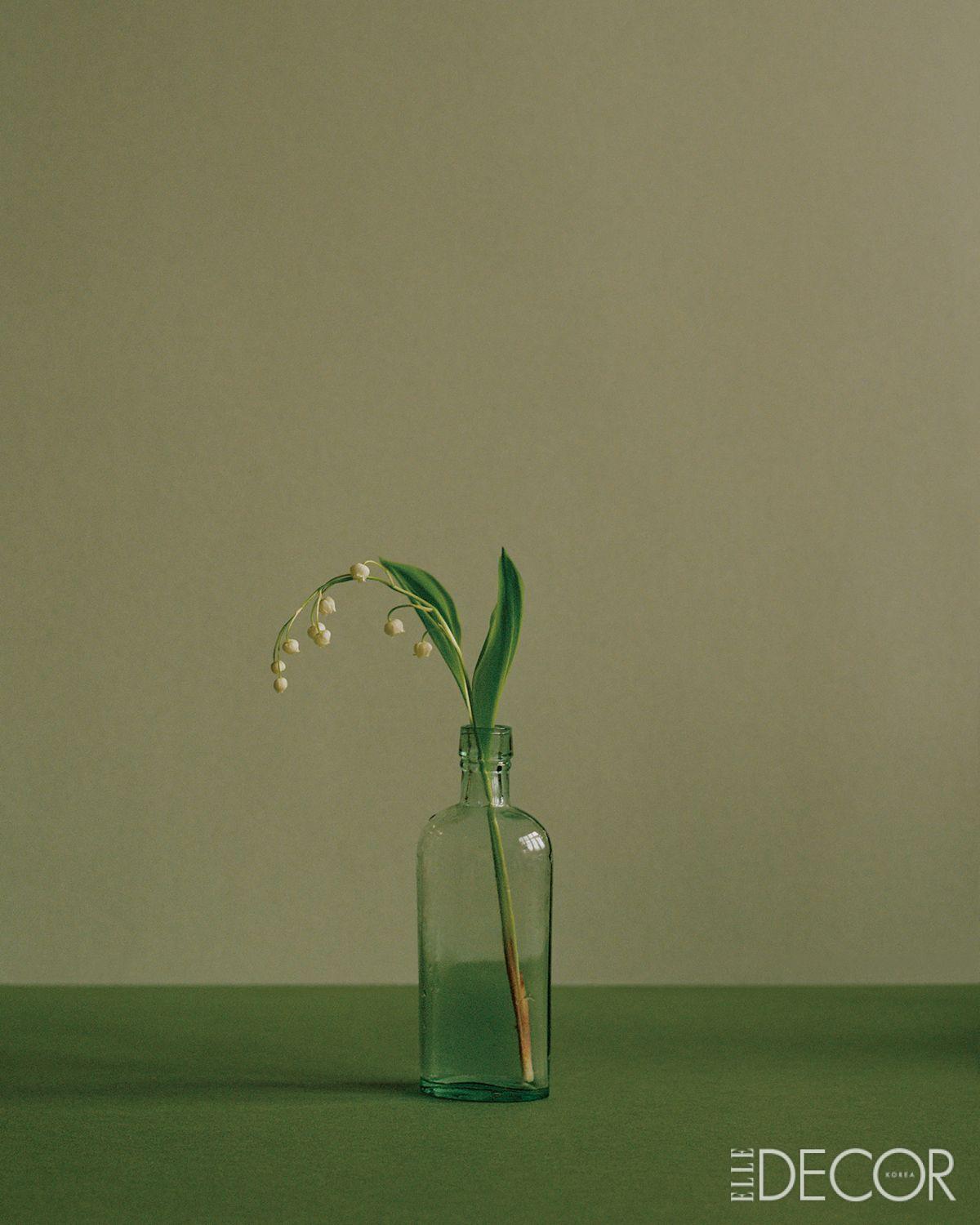 ‘Paul Smith’(2022), Lily of the Valley, London.
