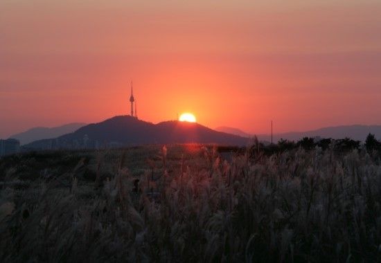 하늘공원