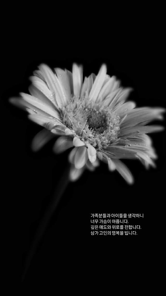 애도의 뜻을 전한 스타들 