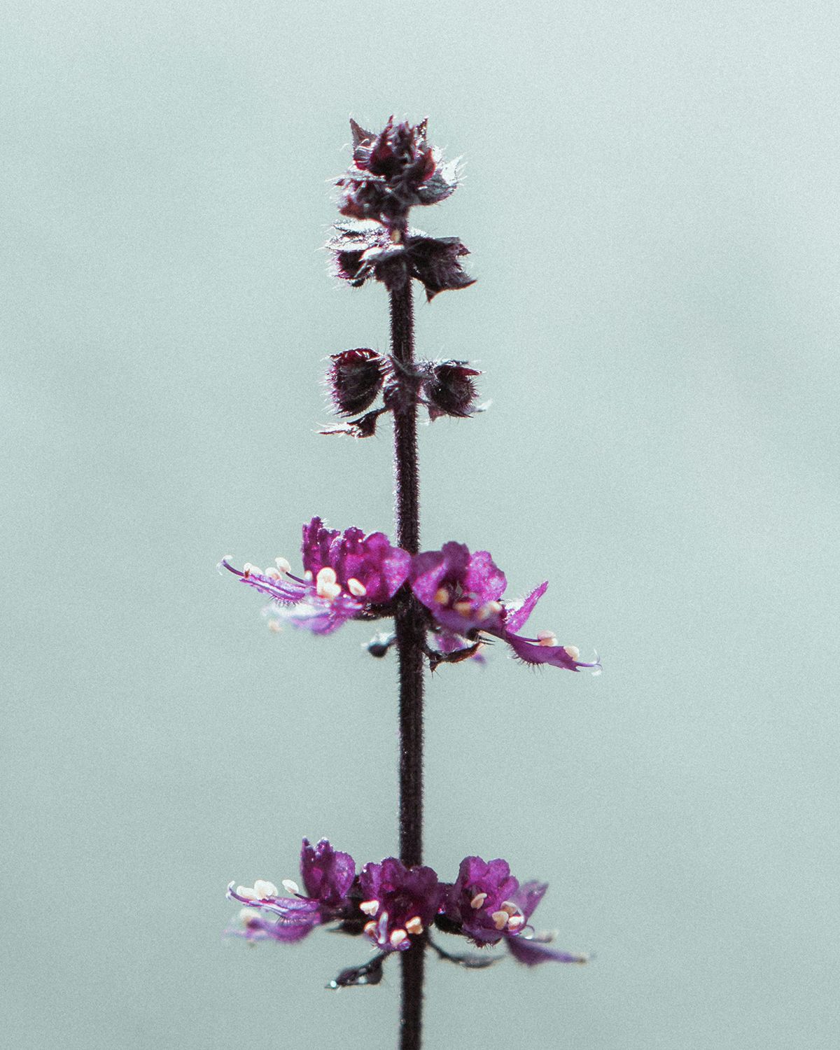 ©unsplash