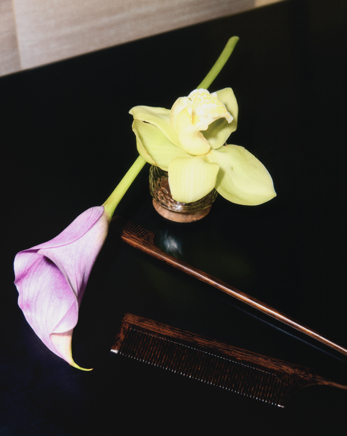 ‘Editions’ Collection by ZARA HOME