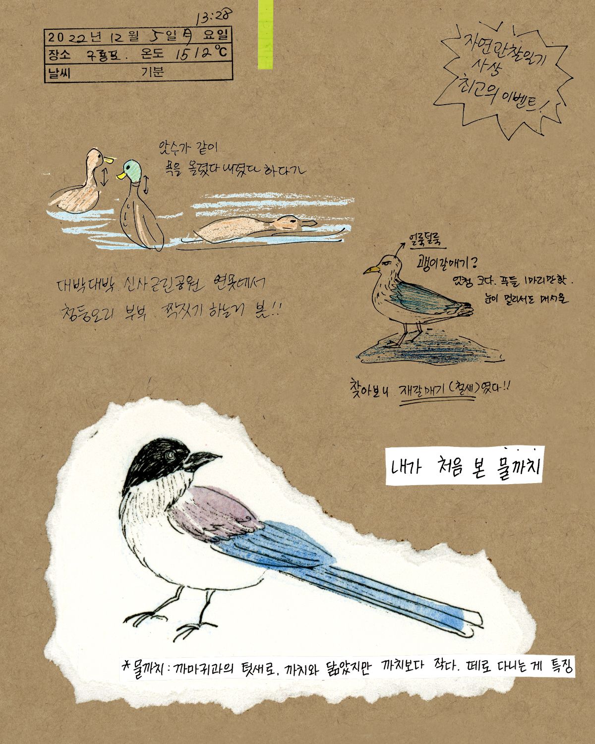 이다 작가가 그린 새들의 기록.