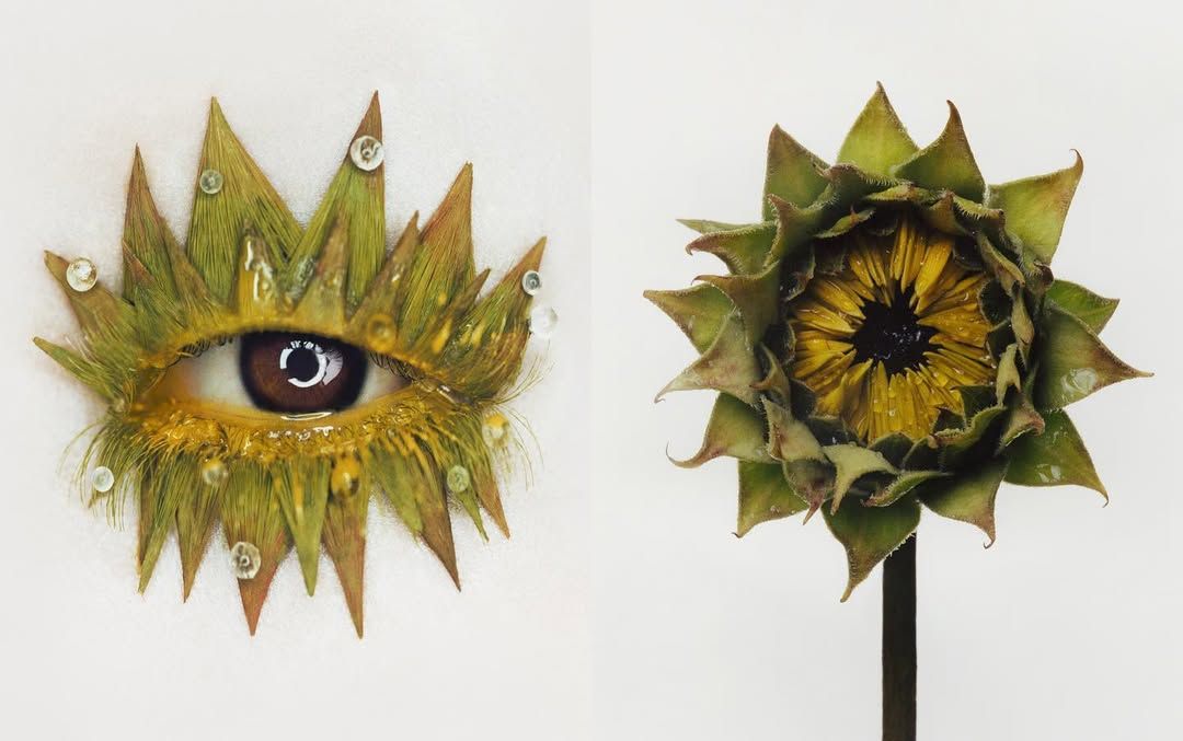 조기석의 FLOWER STUDY.