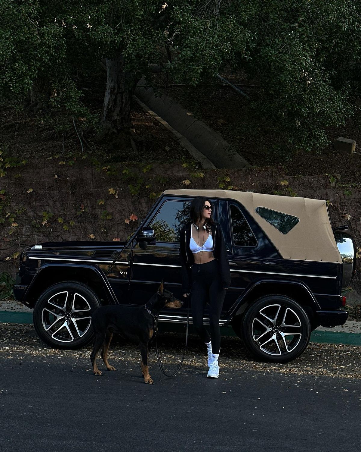 @kendalljenner
