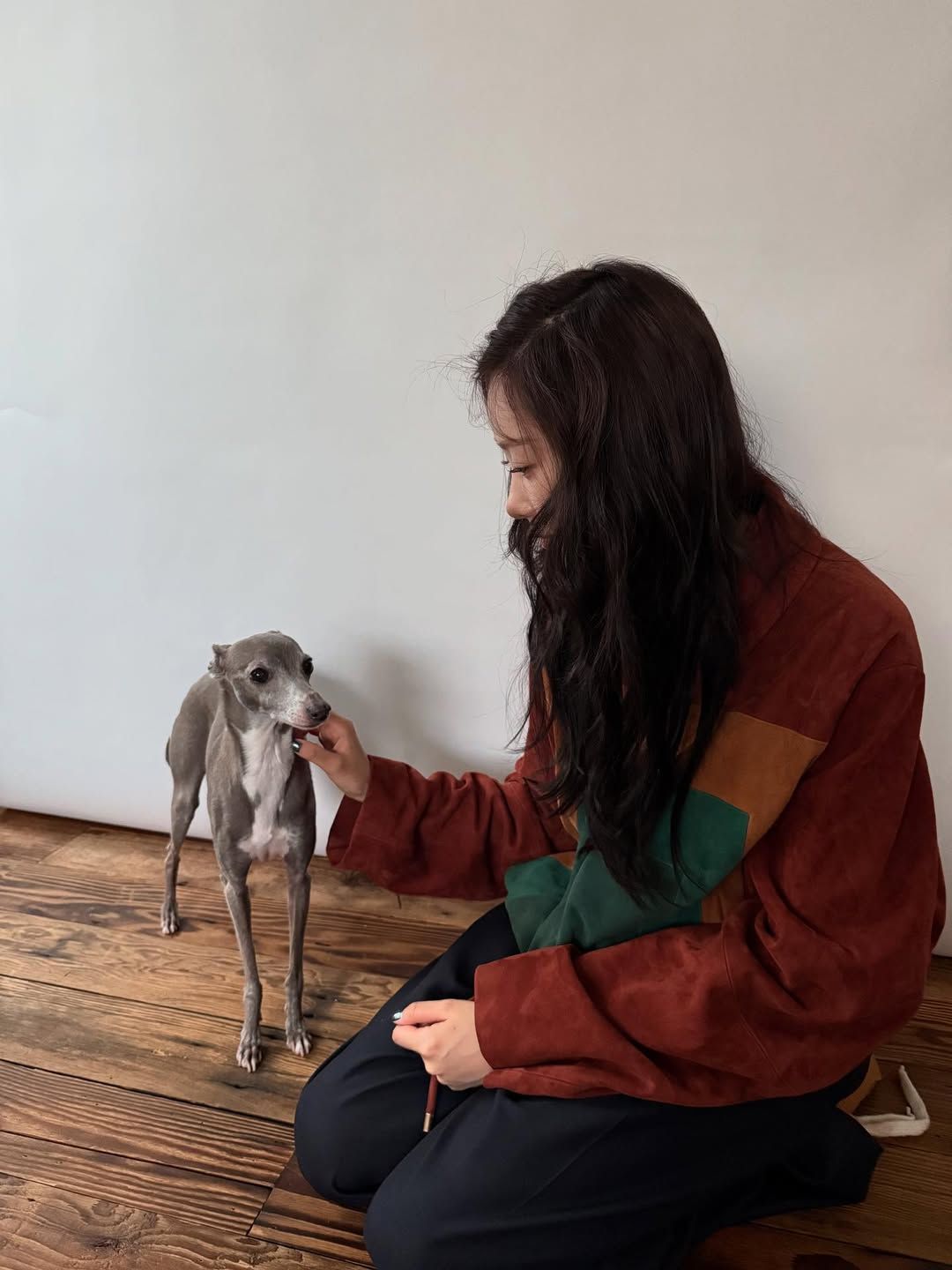 @aerichandesu