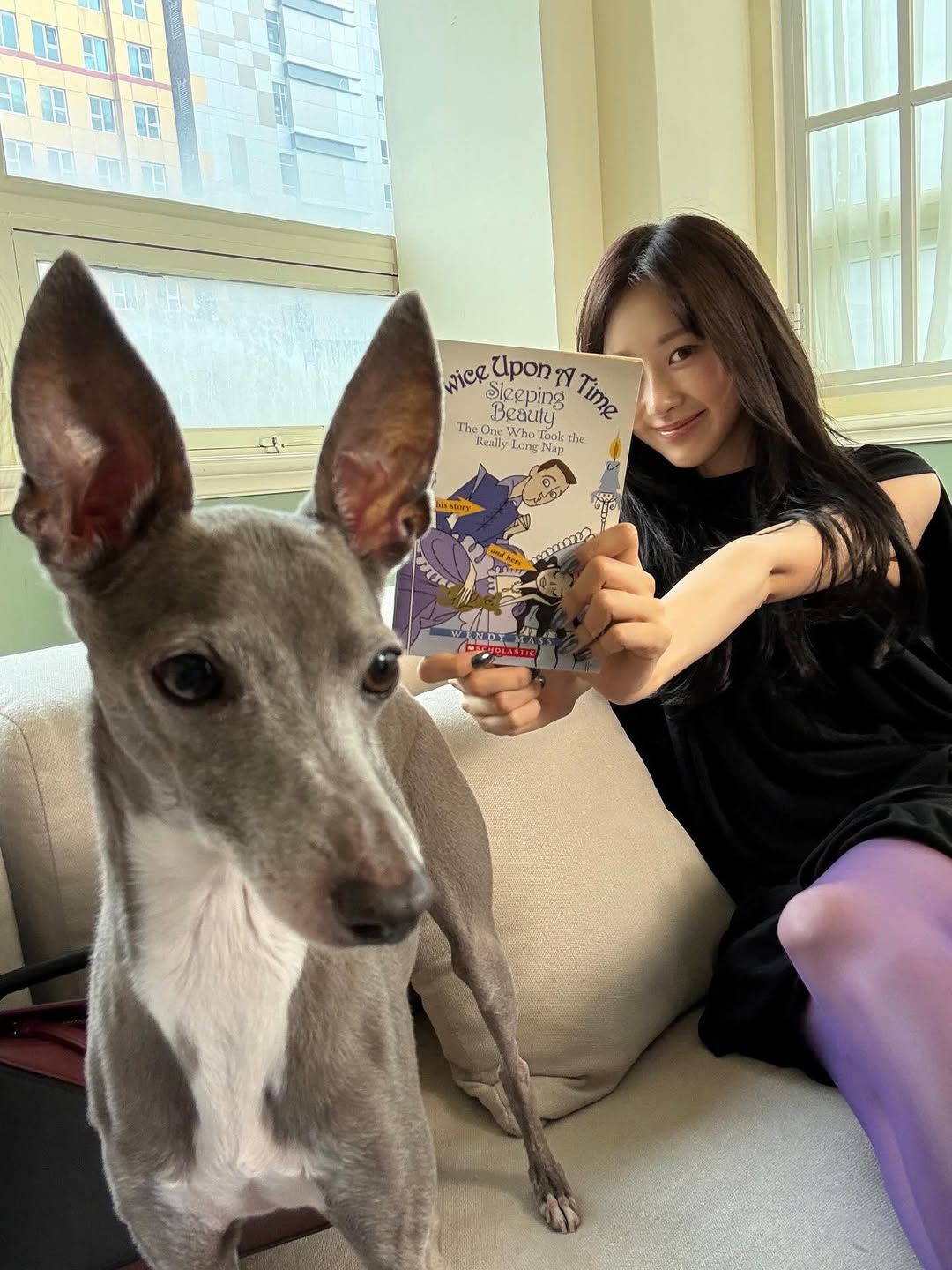 @aerichandesu