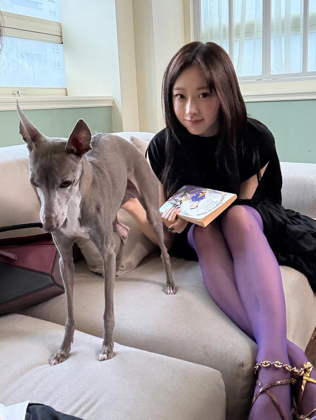 @aerichandesu