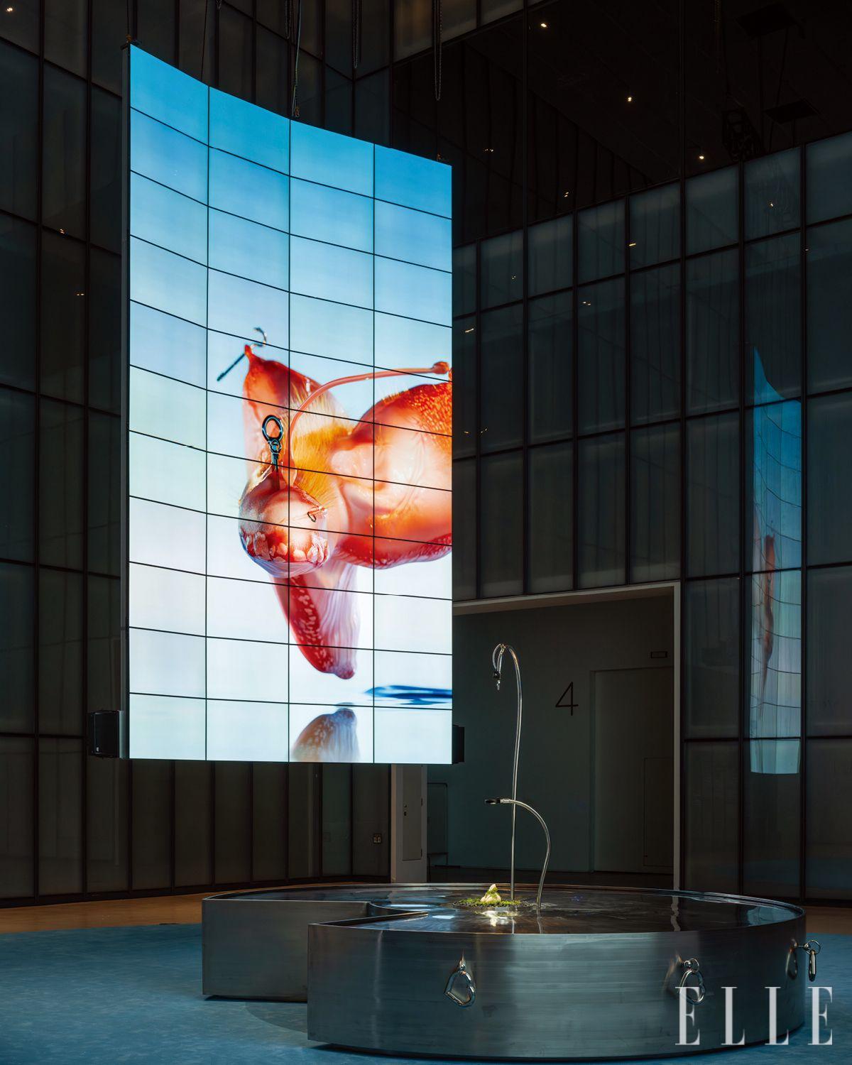 국립현대미술관 서울박스에서 만나는 ‘2025년 MMCA x LG OLED’ 시리즈 <아가몬 대백과: 외부 유출본>