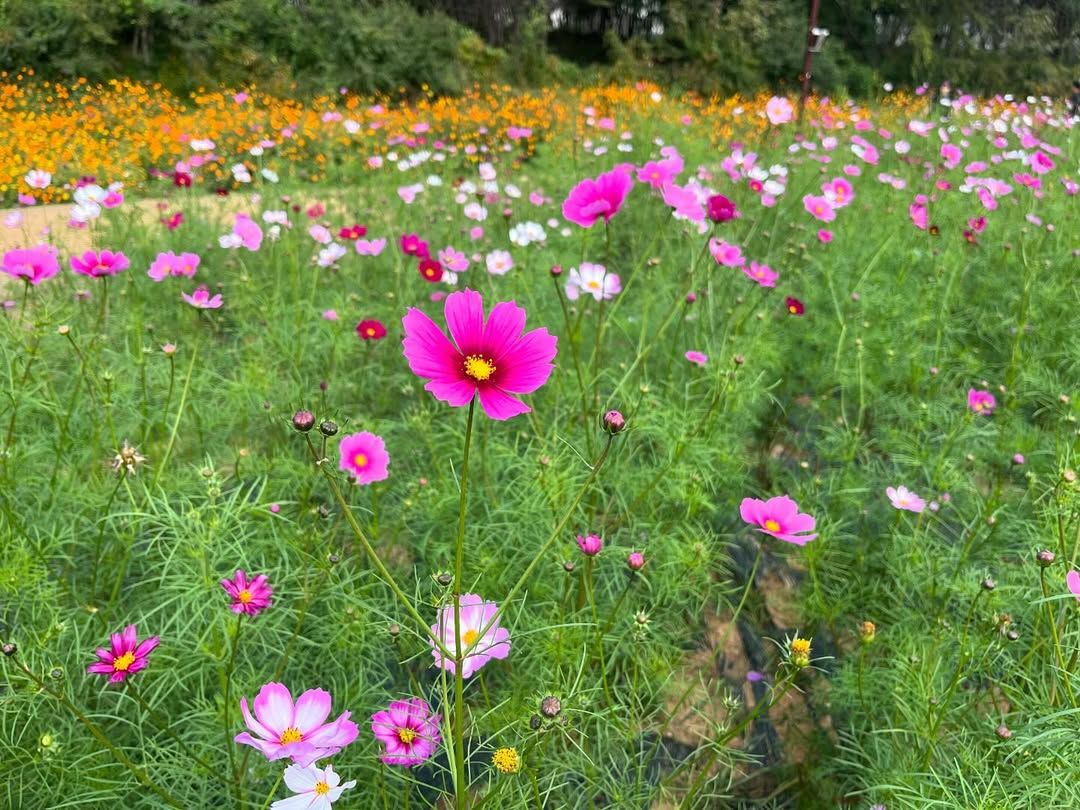 행사 사진 