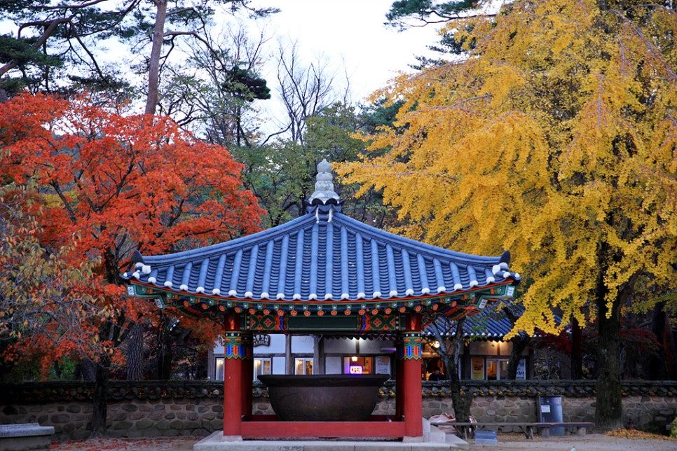속리산 
