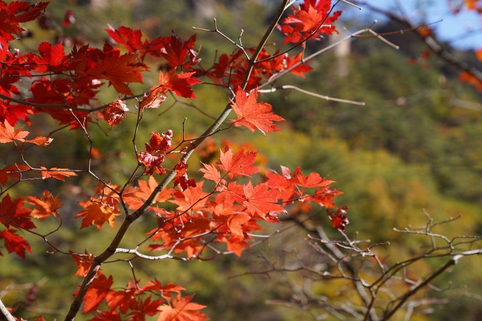 설악산 