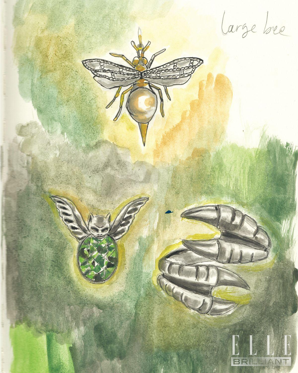 마리아 닐스도터가 스케치한 자연의 만물을 담은 드로잉.