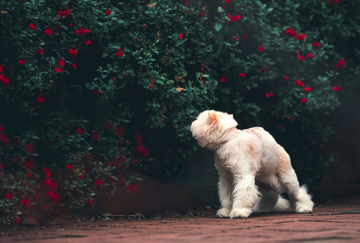 © unsplash reba-spike 