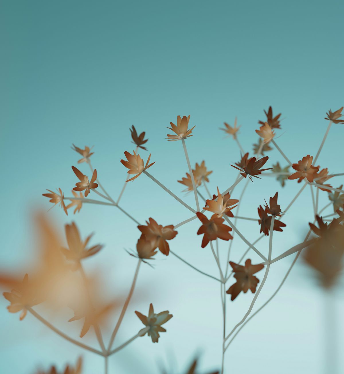© unsplash