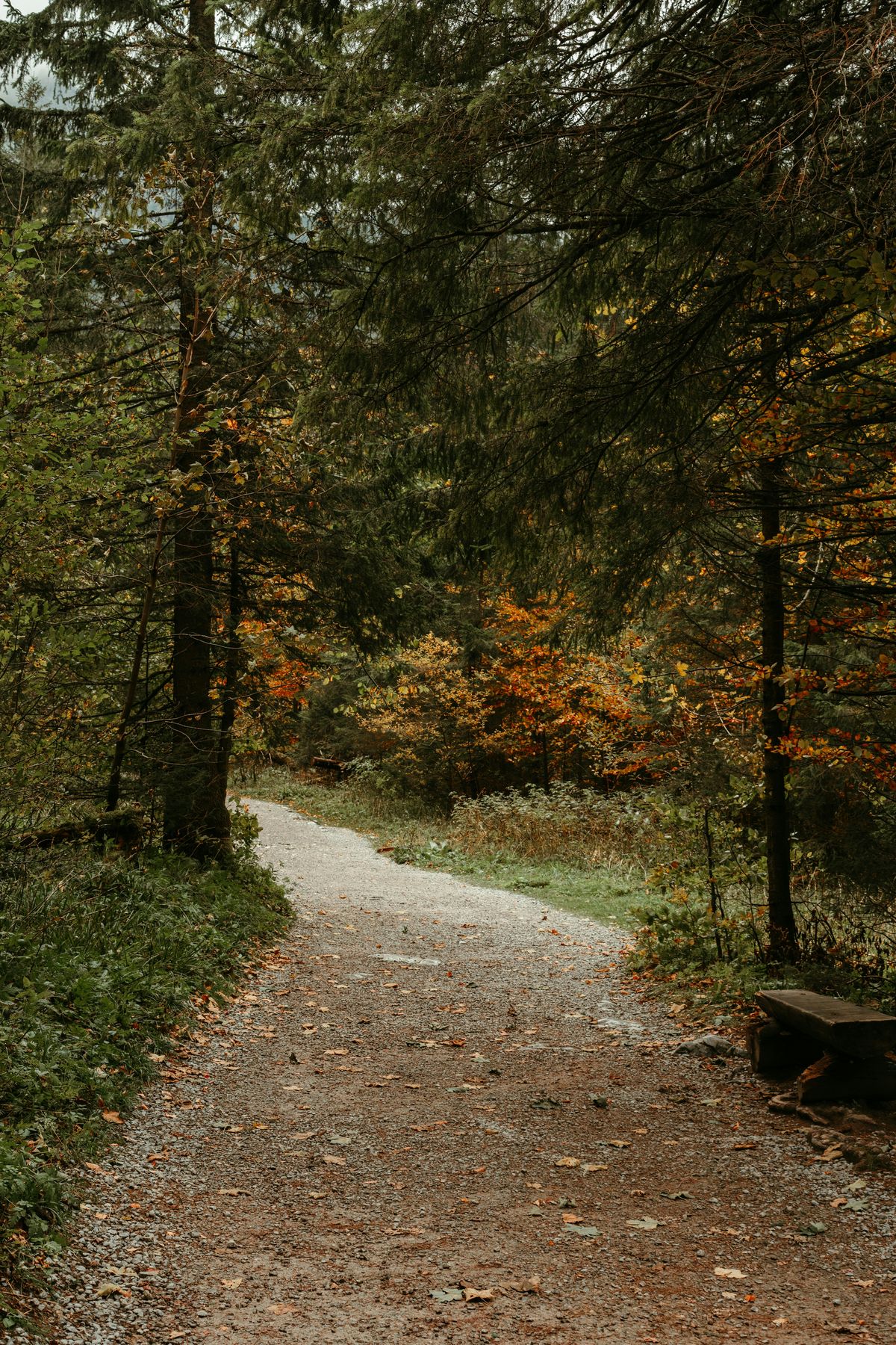© unsplash