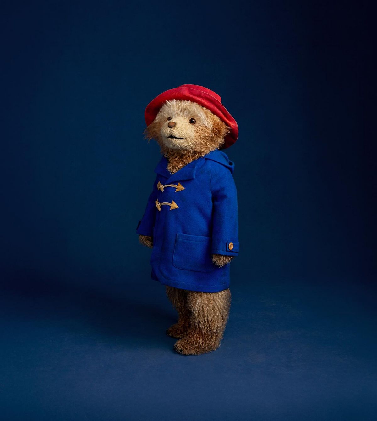 @paddingtonthemusical