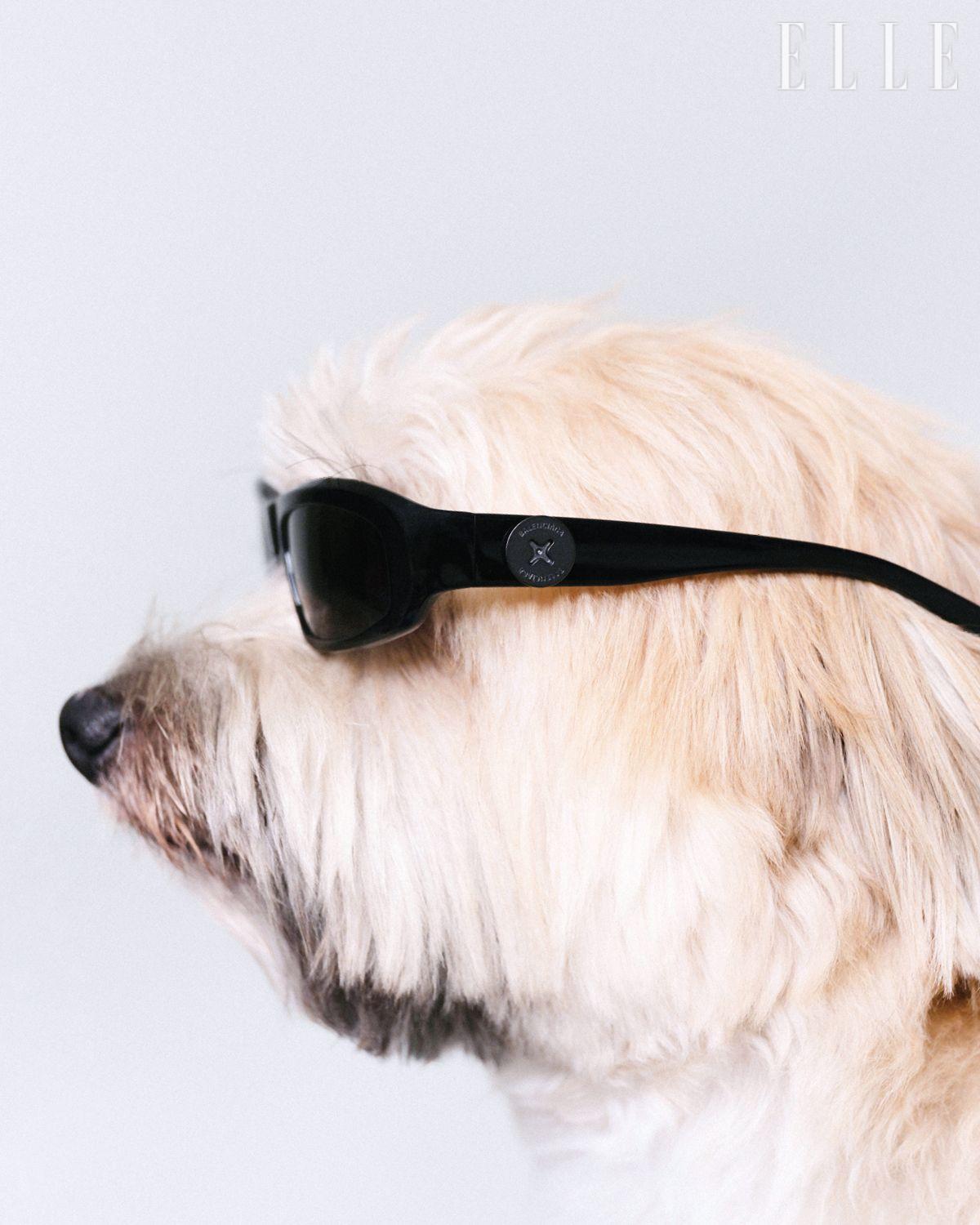 선글라스는 Balenciaga.