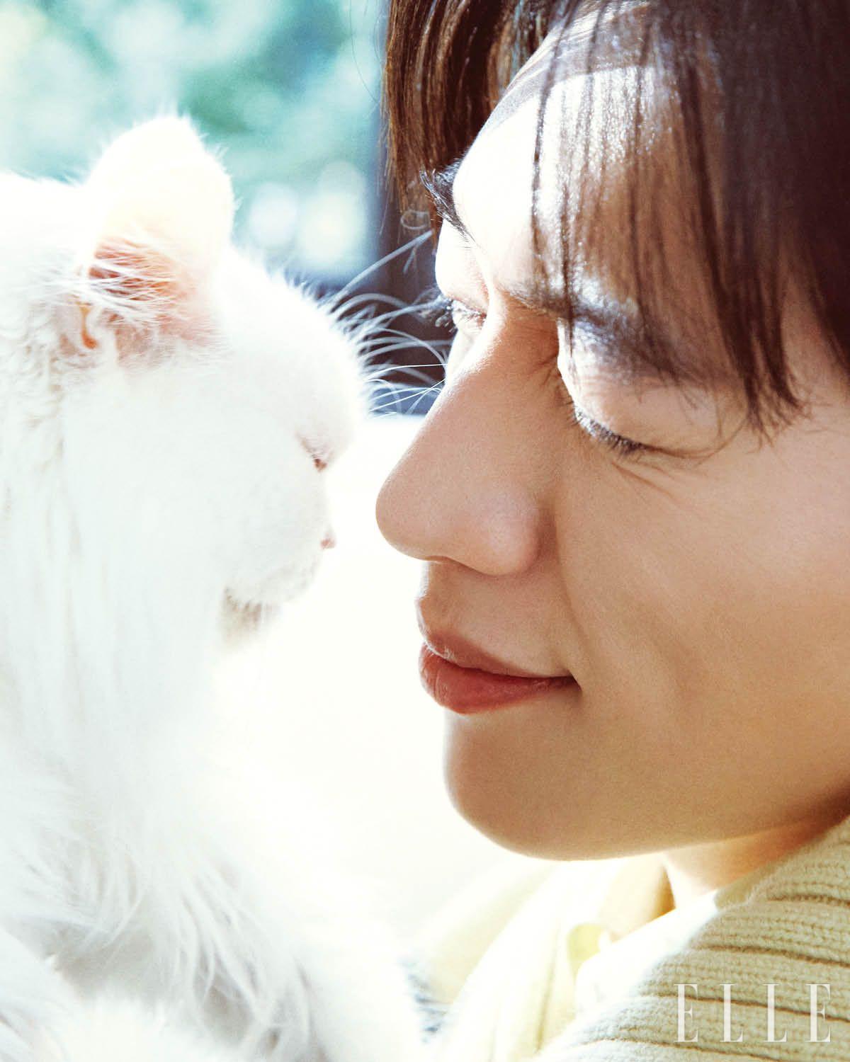 이너 웨어로 입은 옐로 셔츠와 멀티컬러 니트는 모두 Hermès.