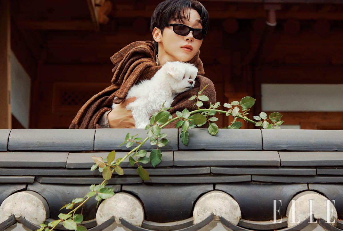 숄 디테일 재킷과 니트는 모두 Burberry. 선글라스는 스타일리스트 소장품.