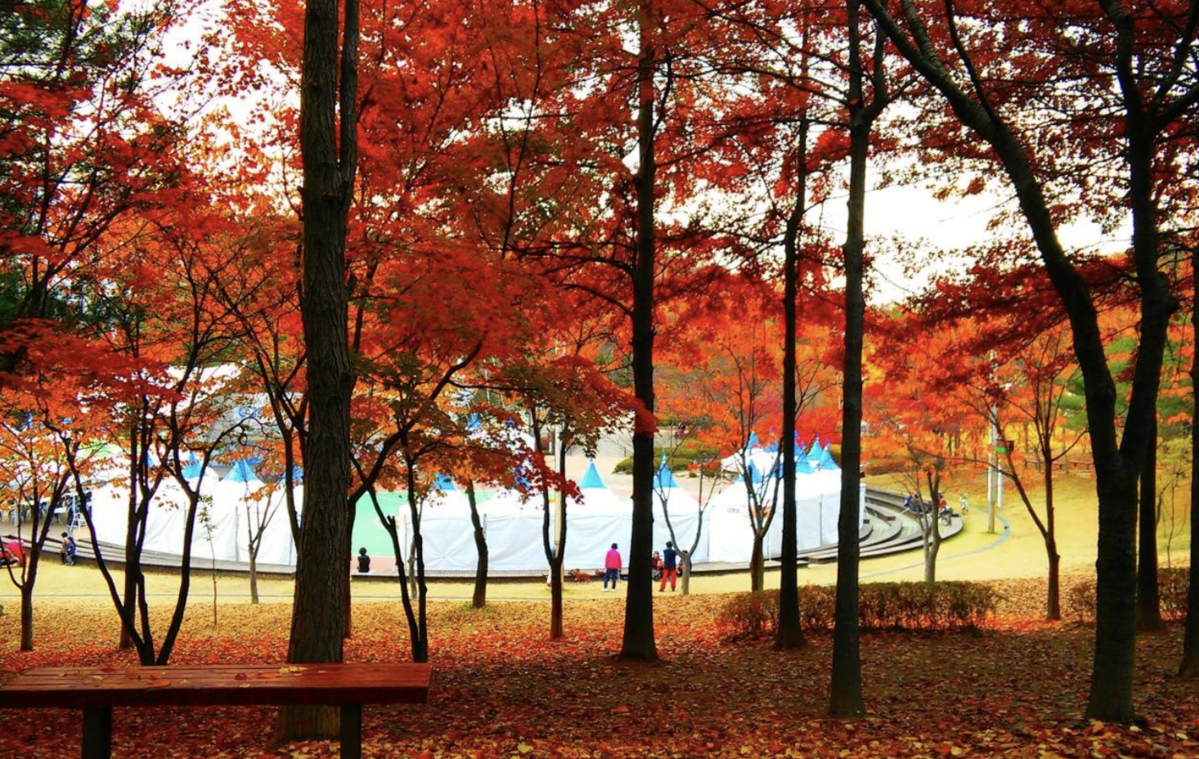 방화근린공원 산책로