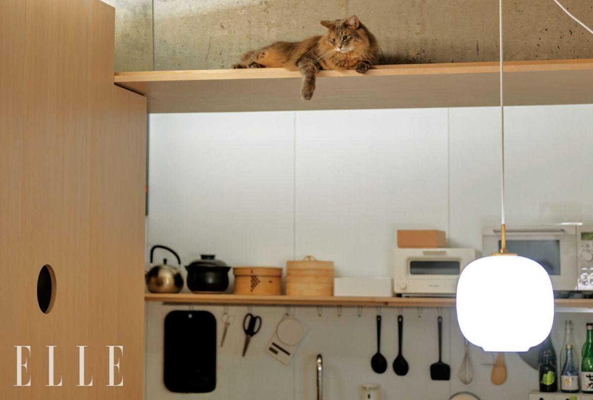  천장의 구조보에는 캐츠 워크를 설치했다. 높은 곳을 좋아하는 고양이의 습성에 맞춰 수납장의 원형 구멍을 통과해 침실까지 이어진다. 