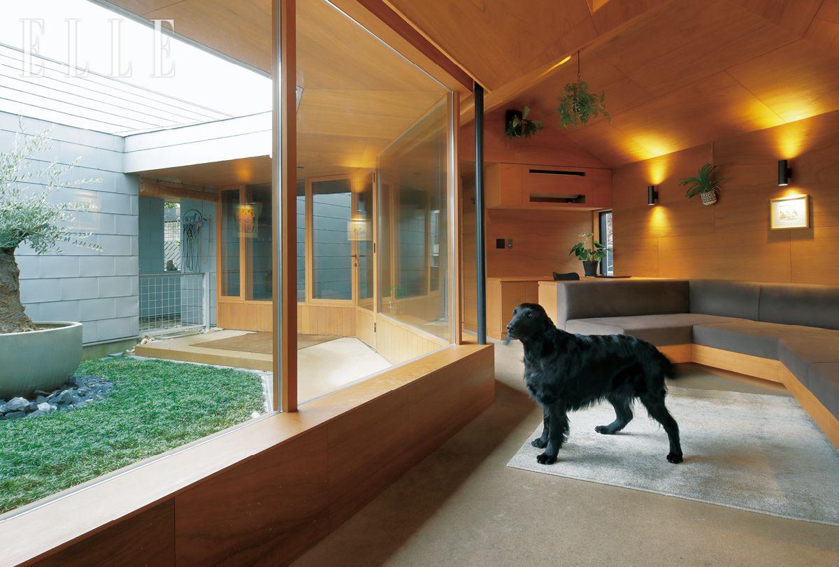 오래된 올리브나무가 있는 넓은 마당은 반려견 브란의 놀이터다. 바깥 풍경을 바라보며 다이닝을 즐길 수 있다.