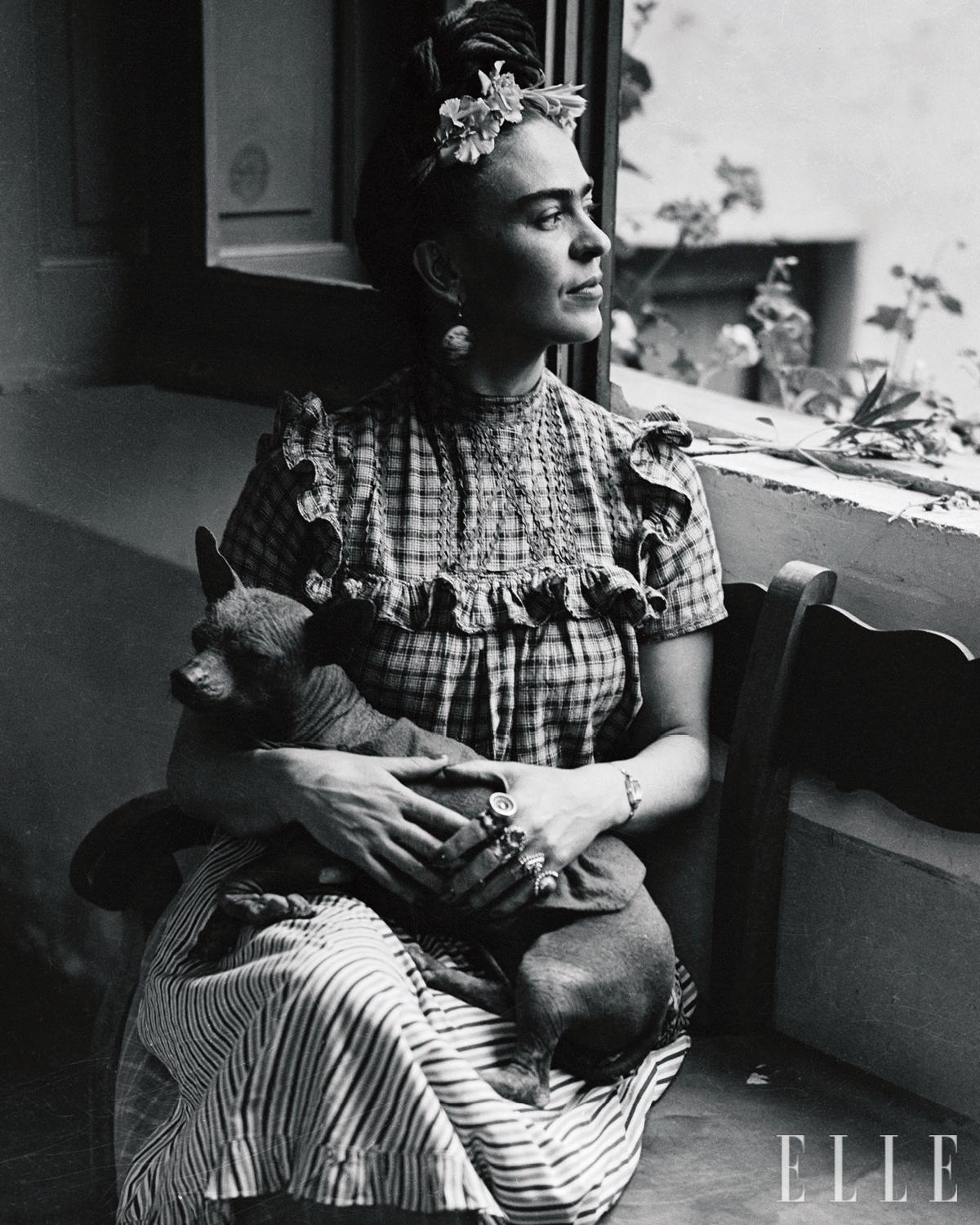  프리다 칼로의 품에 안긴 반려견 세뇨르 소로틀. 