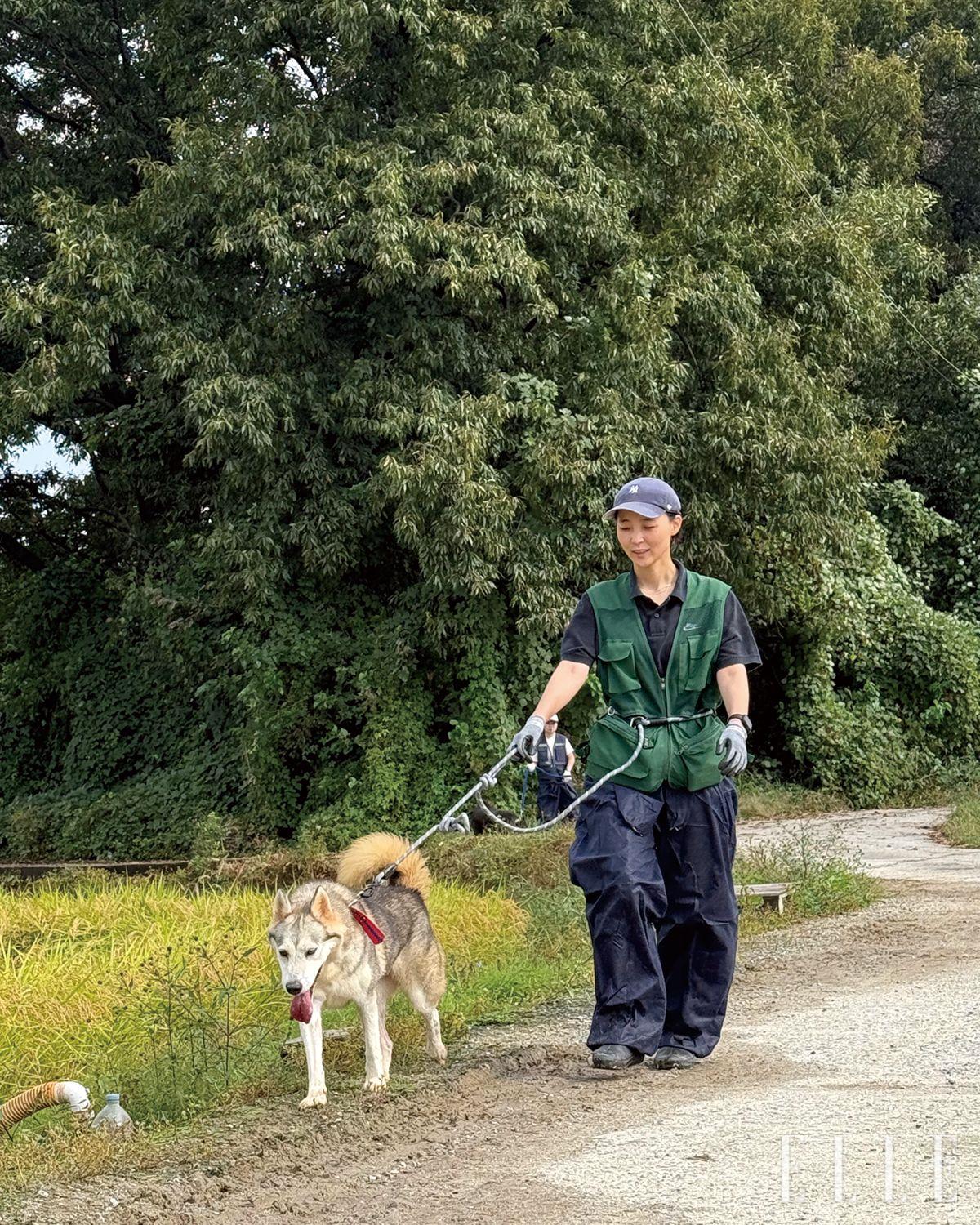 매달 둘째 주 토요일과 넷째 주 일요일에 진행되는 산책 봉사는 공식 SNS 프로필 링크를 통해 언제든 신청 가능하다. 