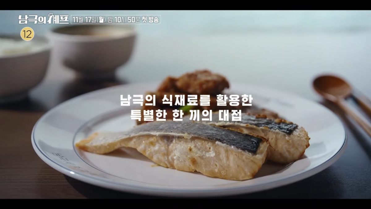 6개월 만에 나오는 백종원 예능 '남극의 셰프', 논란과 기대 포인트