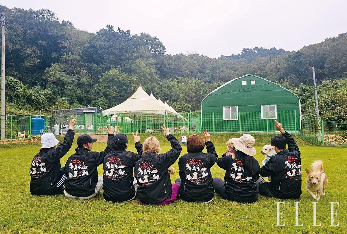 지리적 여건상 자원봉사자가 많지 않아 쉼터에서는 언제나 아이들과 함께할 봉사자가 절실하다. 에버독 SNS에 기재된 계좌를 통한 정기 및 일시 후원과 페이팔(gunsananimallove@naver.com)로 마음을 나눌 수 있다.