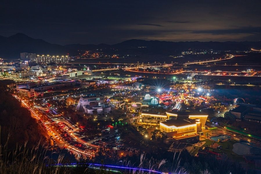함평 겨울 빛축제
