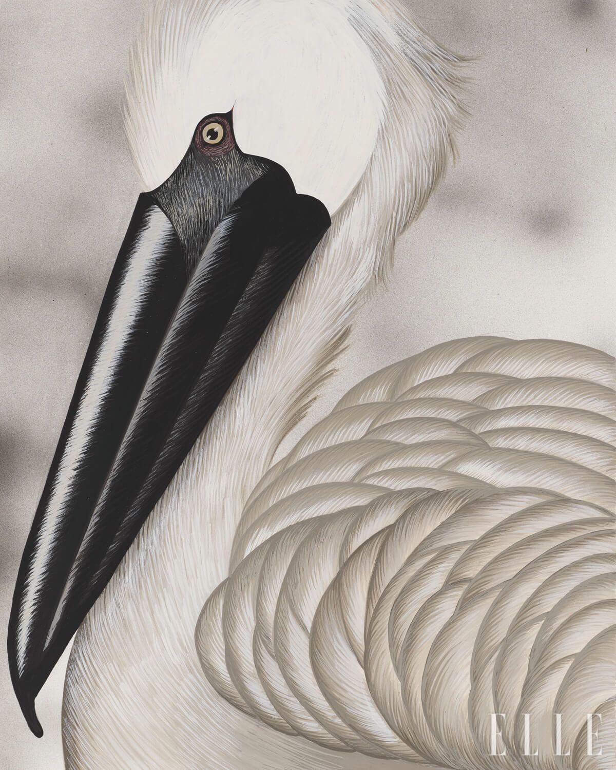 출산 후 첫 그림으로, 펠리컨의 단단한 부리와 부드러운 털의 대비가 모성의 명암을 담고 있다. ‘펠리컨(Pelican)’(2025). 