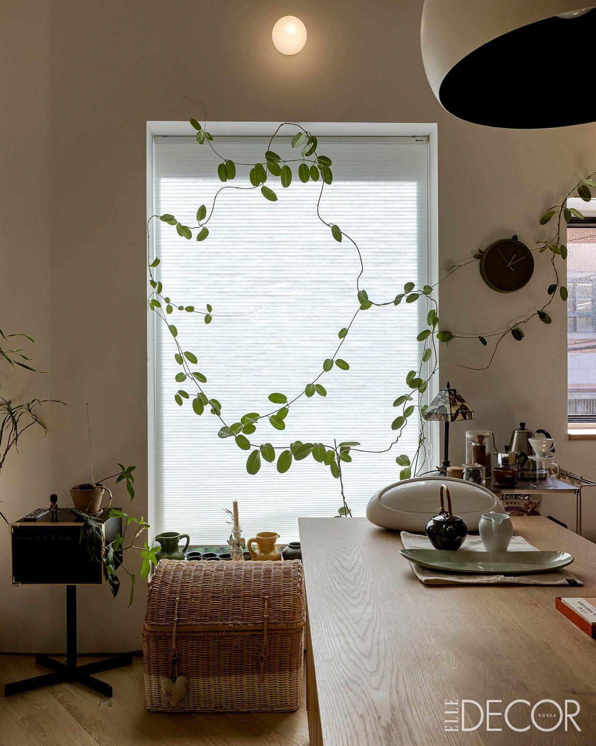 채광이 좋은 2층에는 넝쿨 식물이 기세 좋게 자라나고 있다. 컴팩트한 1층에 반해 2층은 거실과 주방, 식사 공간이 하나로 이루어진 또 하나의 집이다.