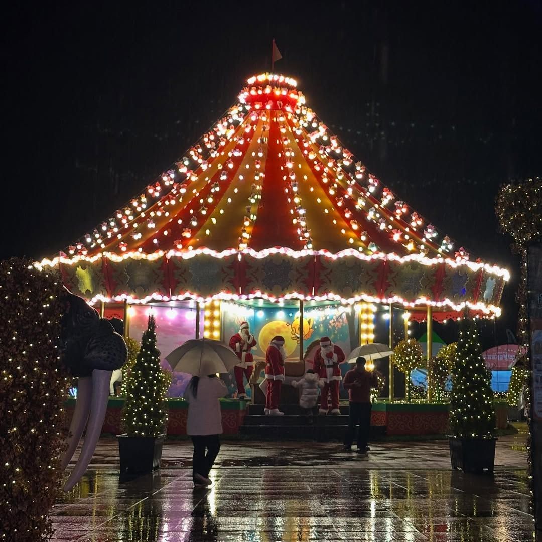 2025 함평 겨울빛축제 