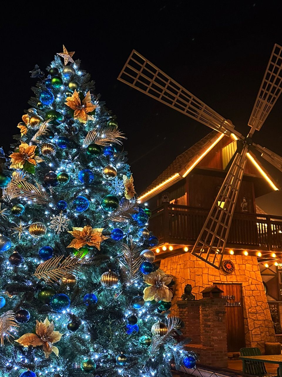 여주 루덴시아 테마파크