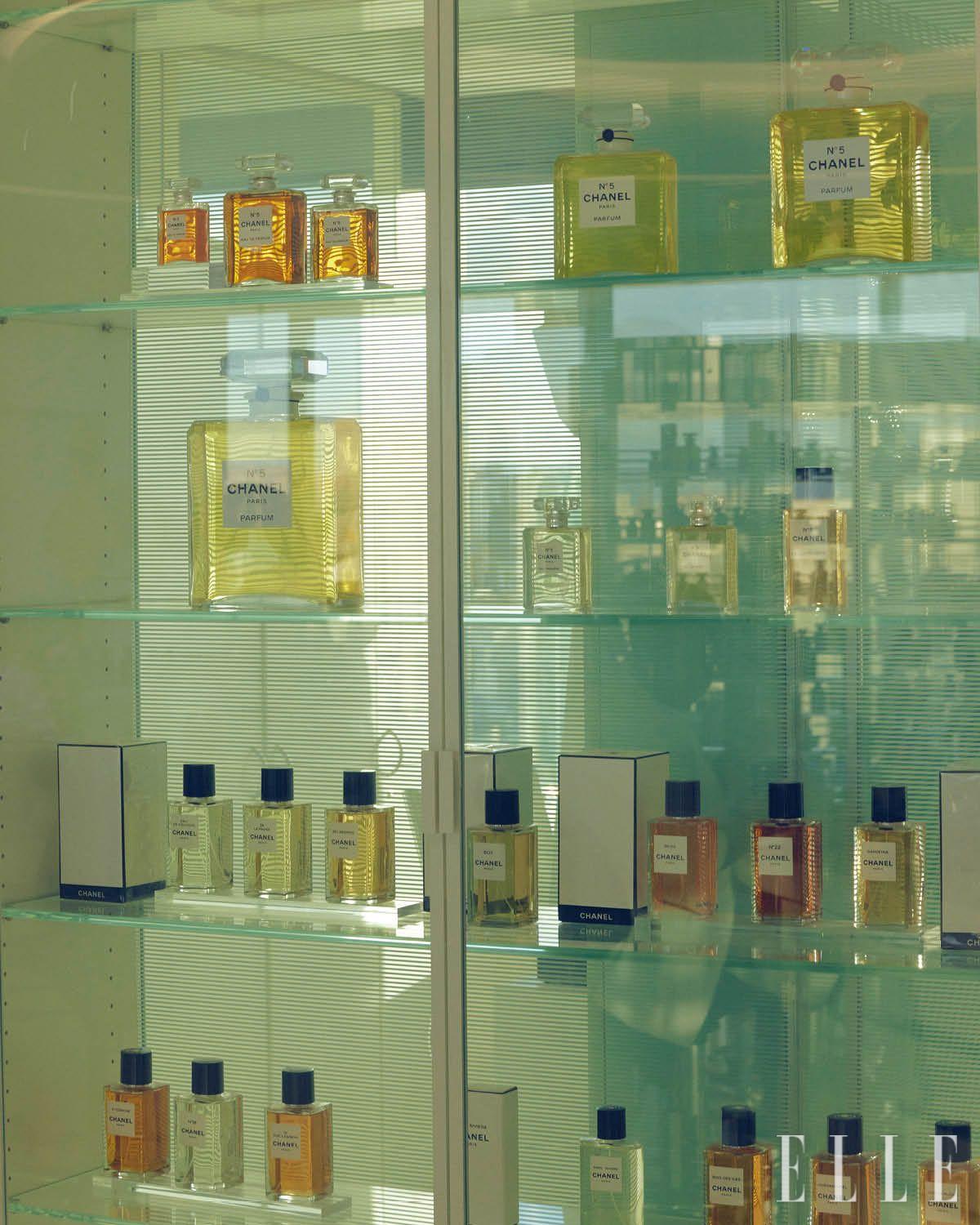 이미지 캡션 영역