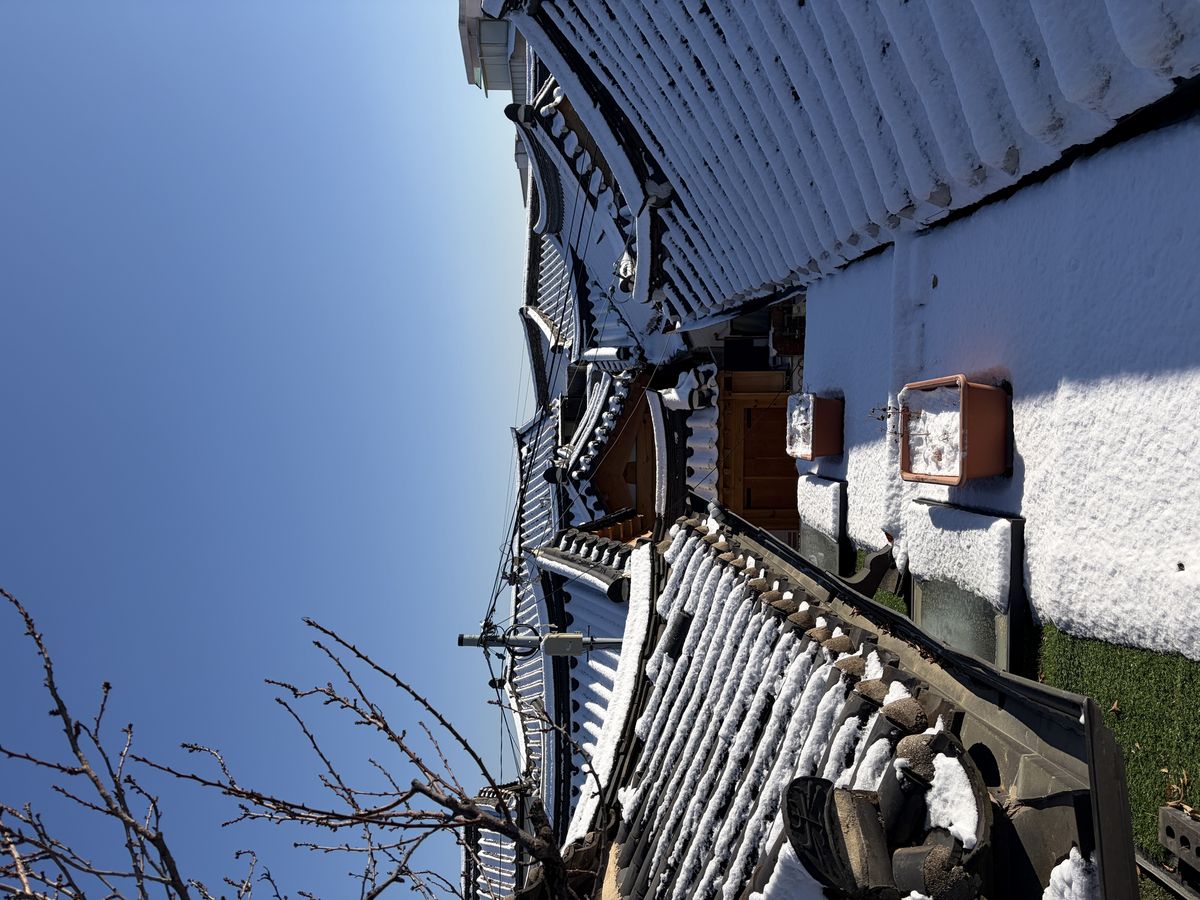 북촌 한옥 마을에 자리한 집.