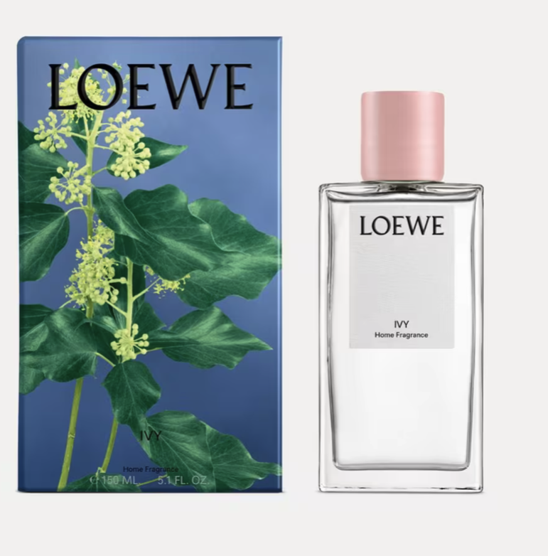 침구 정리 후 꼭 뿌려주는 아이비 룸 스프레이, 18만7천원, Loewe.